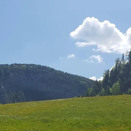 Lohnerlehen